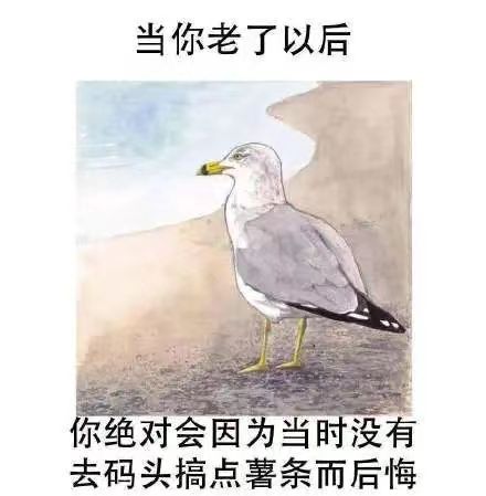 整点薯条